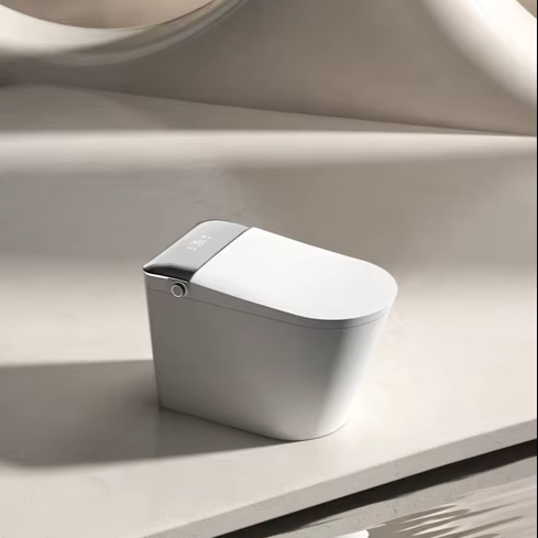 JM810L Intelligent WC Toilet S - Smart Accessories 评论和价格
